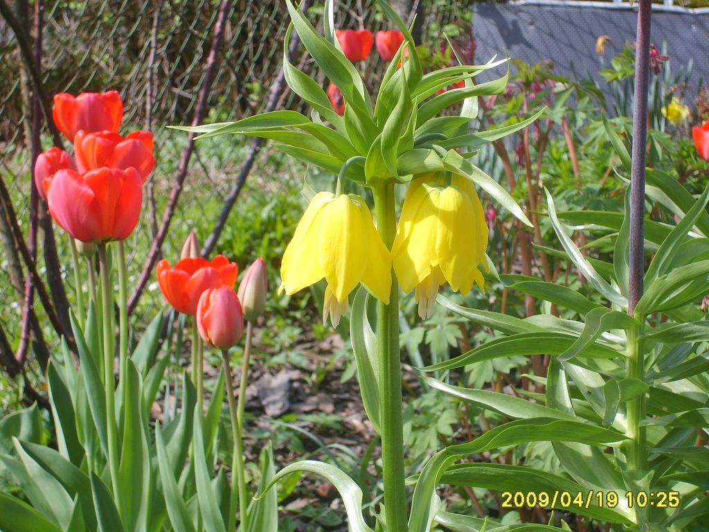 S6009459.JPG