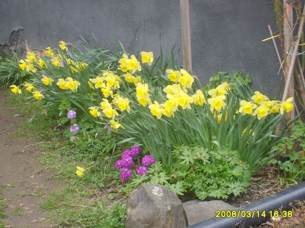 010