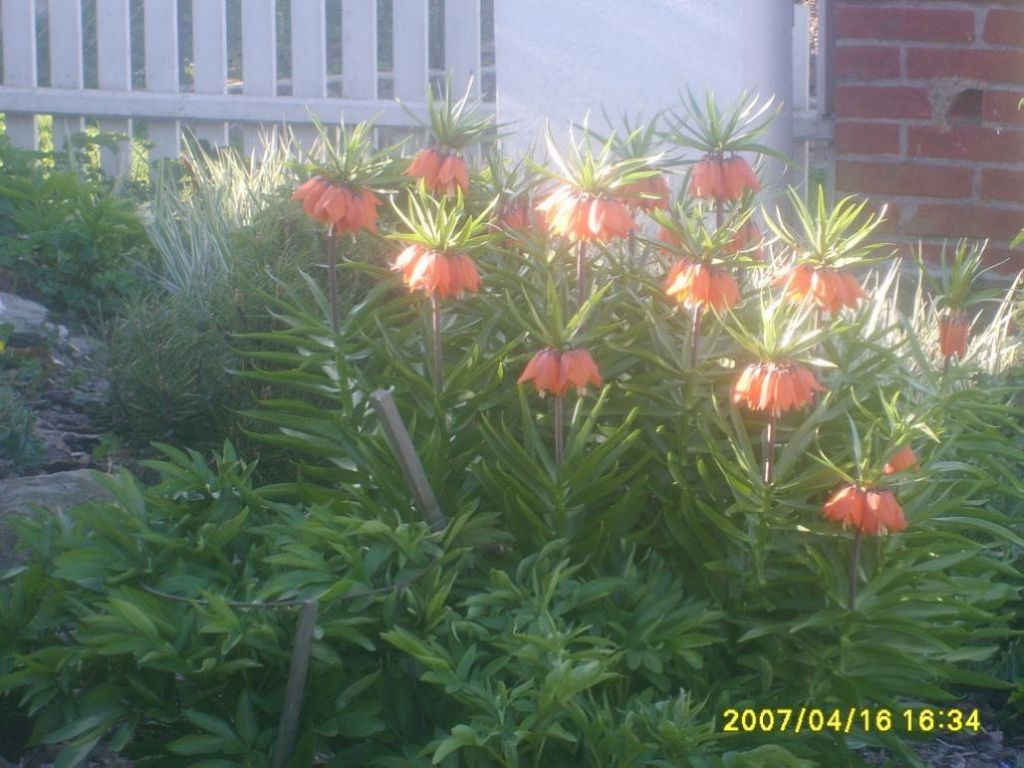 005