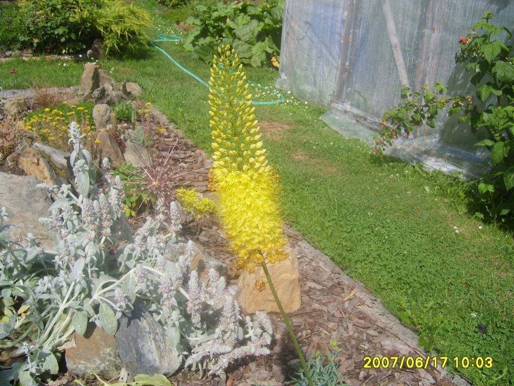 008