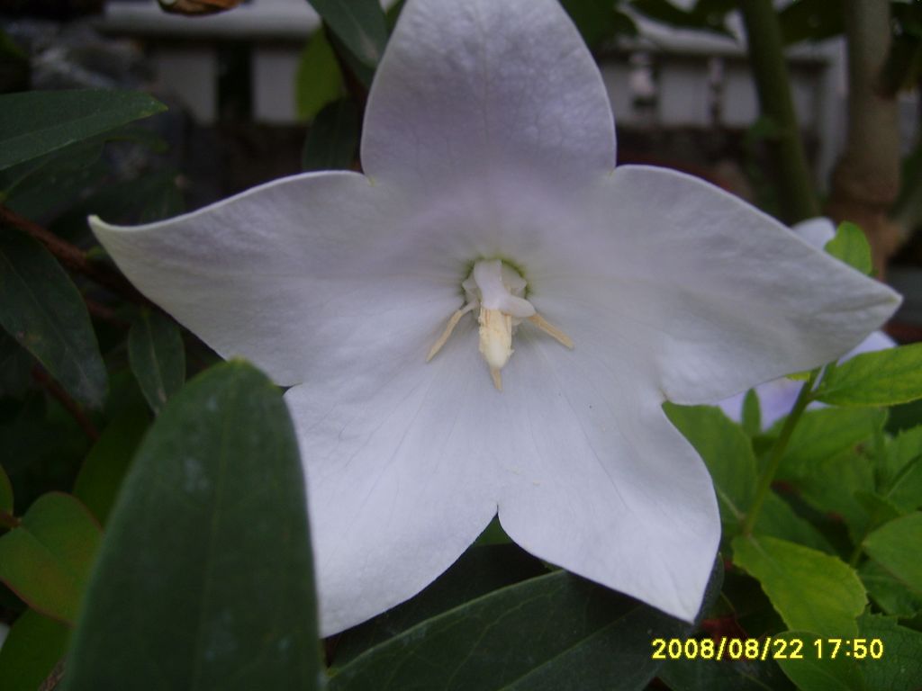 020